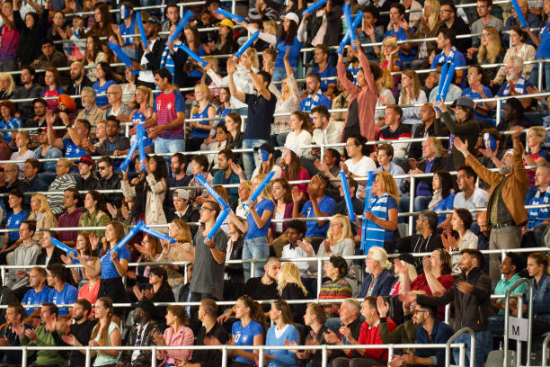 istock Spectators cheering on a stadium for the blue team 1148919599