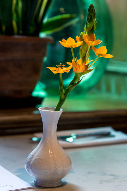istock small orange flower in a white vase, a symbol of spring 1148921412