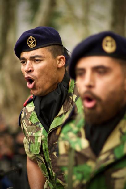 homens militares em uma parada em lisboa, comemorando o fim da primeira guerra mundial - parade tulip - fotografias e filmes do acervo