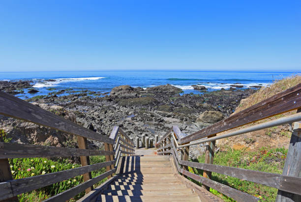 istock Walkway to the beach 1148925345