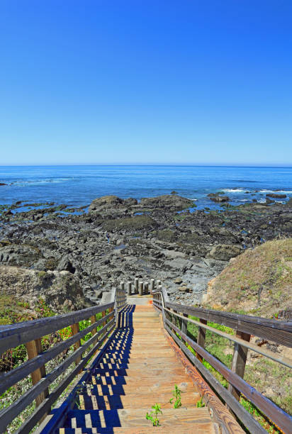 istock Walkway to the beach 1148925349