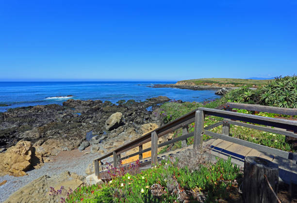 istock Stairwell to a rocky beach 1148926630