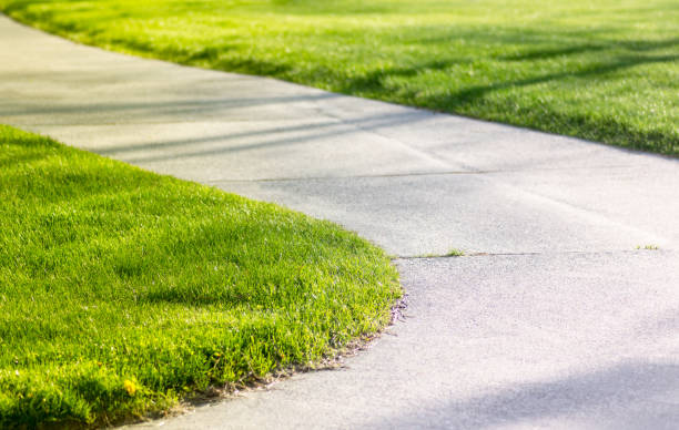 istock Walking path and green fresh grass in a public park. Copy space. Close up. 1148927752
