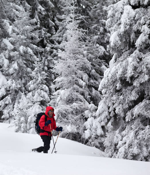 istock Hiker makes his way on slope with new-fallen snow 1148939133