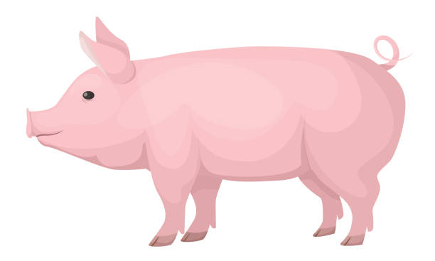 illustrazioni stock, clip art, cartoni animati e icone di tendenza di animali da fattoria. carino, divertente, maiale domestico rosa, di medie dimensioni. - pig silhouette animal livestock