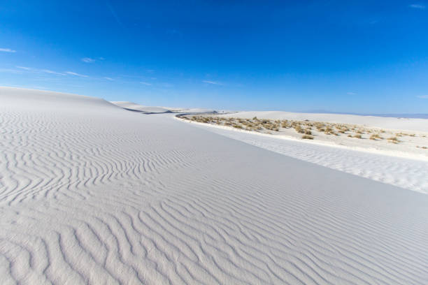 istock Sand Dune Desert Background In New Mexico 1148944517