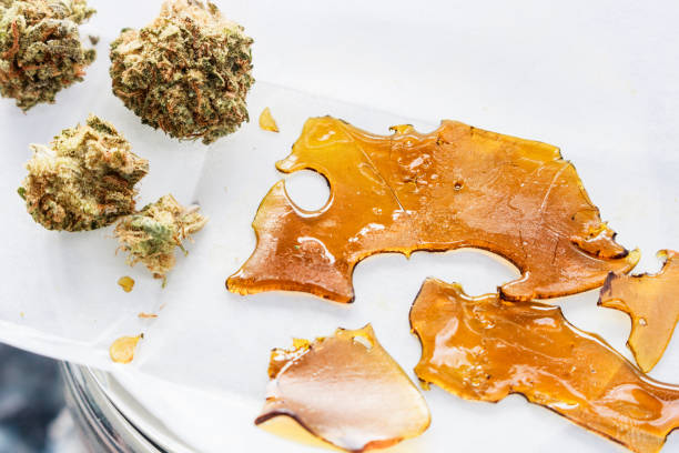 THC:CBD Extract Concentrate Shatter Concentrated THC/CBD extract (aka shatter/wax) on non stick paper with trimmed marijuana buds. An alternative method of smoking cannabinoids extracted from cannabis plant, for medical & recreational use in legal states/countries. hashish stock pictures, royalty-free photos & images