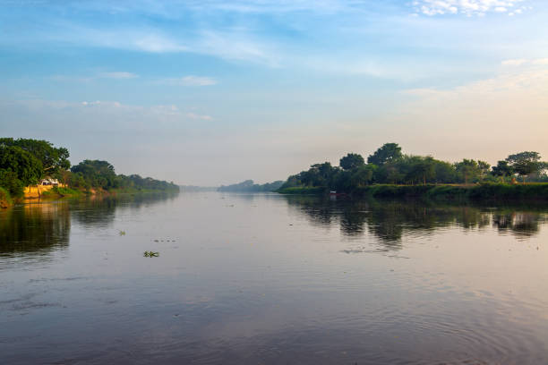 tôt le matin magdalena river - magdalena photos et images de collection