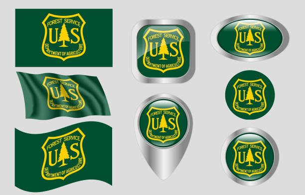 istock Flag of the United States Forest Service 1148950152