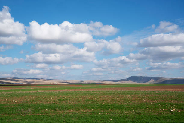 Madrid Spain. September 16, 2021. cumulus cloud over sunny field at afternoon