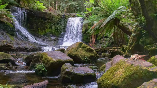 istock beautiful horseshoe falls at mount field, tasmania 1148971870
