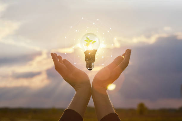 istock The concept of natural energy sources. 1148972818