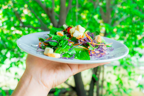 istock Hands holding a white dish with fresh salad, with a green tree backdrop 1148972841