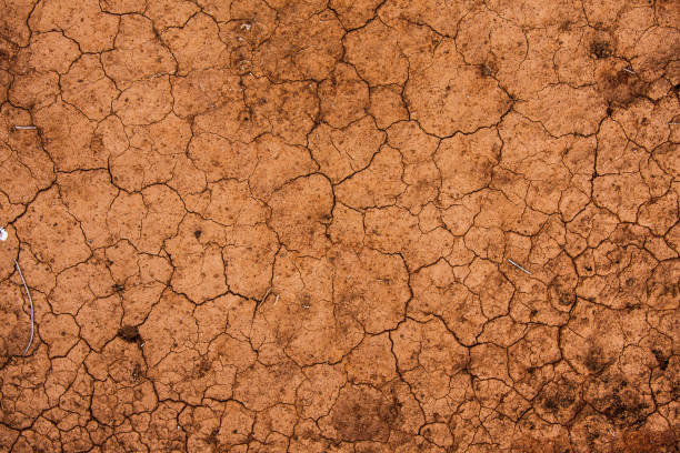 istock Textures of Western Australia 1148979943