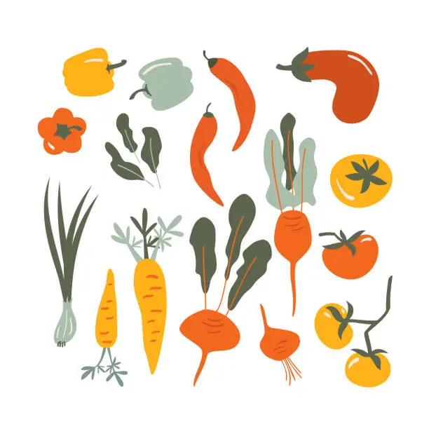 Vector illustration of vector set of hand drawn vegetables