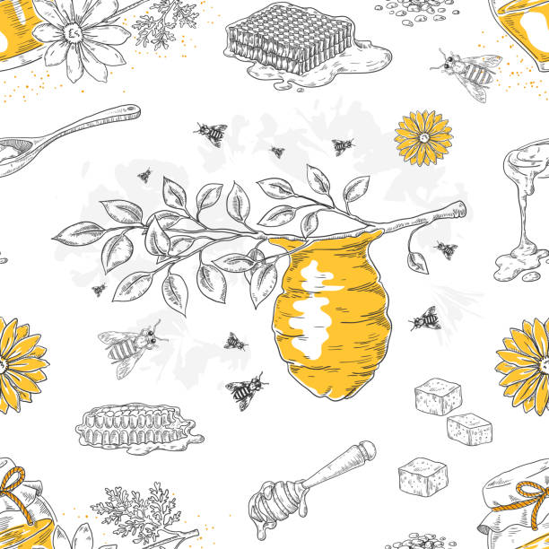 ilustrações de stock, clip art, desenhos animados e ícones de honey sketch pattern. hand drawn honeycomb and beehive seamless background with flowers and bees. vector honey poster template - illustration and painting engraving old fashioned engraved image
