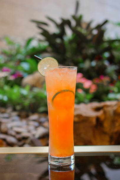 istock Orange cocktail/fruit tea decorated with lemon and garden as background 1148987629