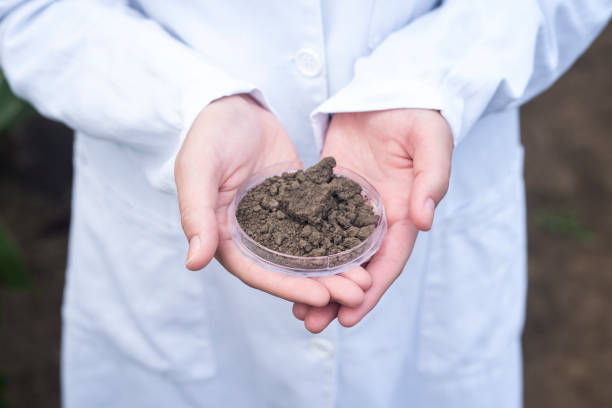 Agricultural soil examination. Agronomist or agrobiologist in white suit holding soil sample for composition testing. Scientist holding soil sample for testing in the field. Laboratory examination for soil fertility and food production. soil tester stock pictures, royalty-free photos & images