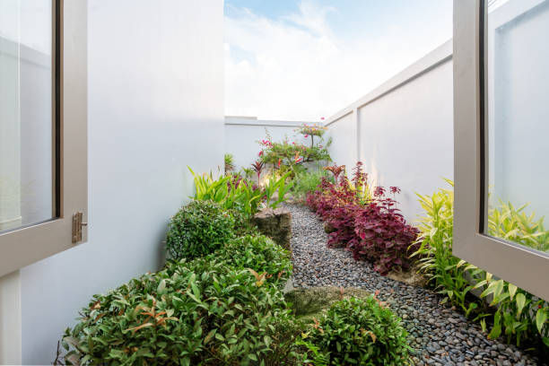 istock green garden outside the house 1148988574