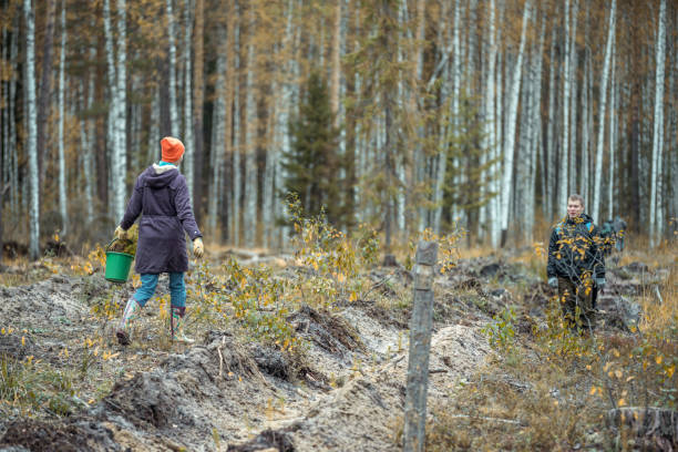 istock Volunteers Working In Forest Park. Voluntary Assistance Tree-Planting 1148989783