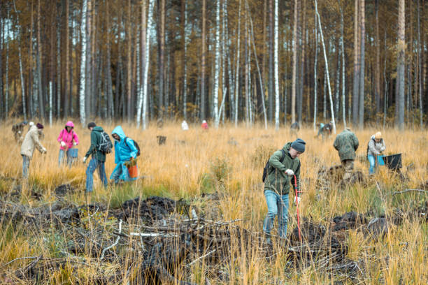 Group Of Volunteers Working In Forest Park. Voluntary Assistance Tree-Planting