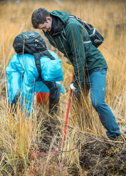 istock Two Men Volunteers Planting Tree Seedling 1148989787