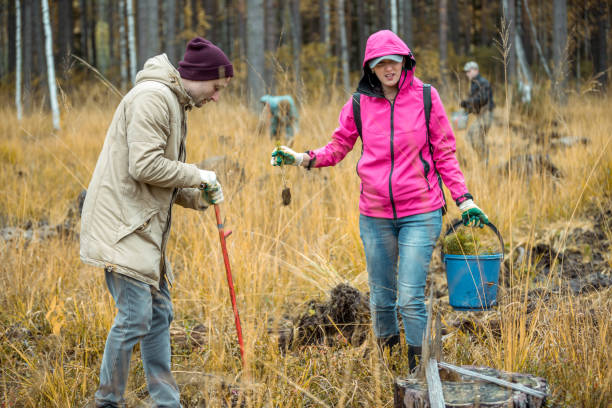istock Two Young Volunteers Planting Pine Seedling 1148989814