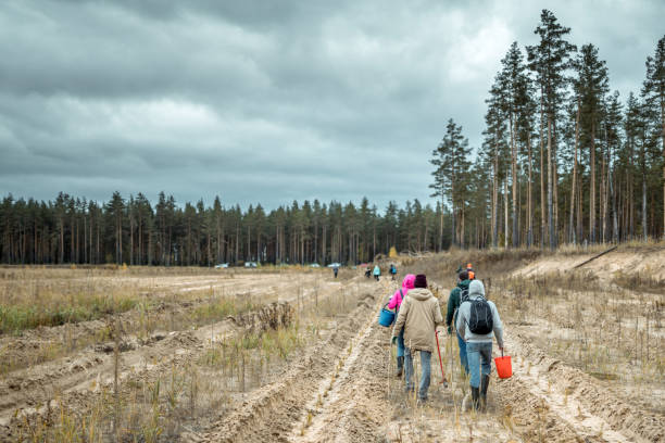 istock Group Of Volunteers Going To Work In Forest Park. Assistance Tree-Planting 1148989836