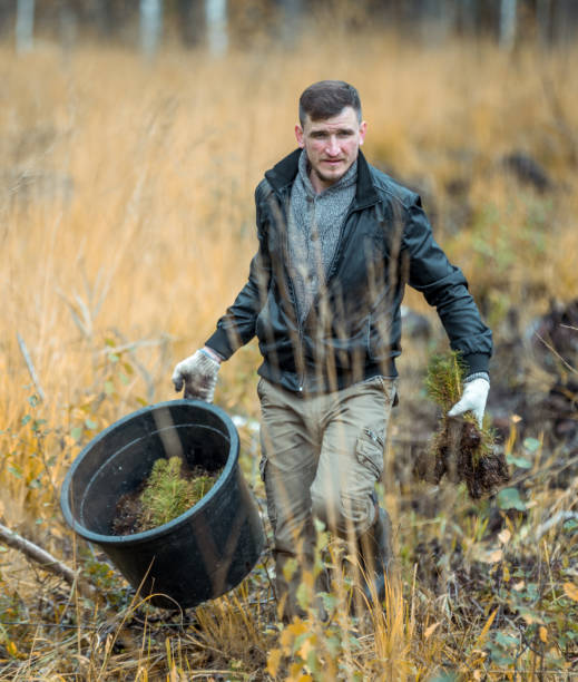 istock Young Man is Going With Pine Seedlings In Forest Park. Voluntary Assistance Tree-Planting 1148990357