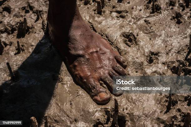 Australian Aboriginal Hunter Stock Photo - Download Image Now - First Peoples of Australia Culture, Aboriginal Peoples - Australia, Australia