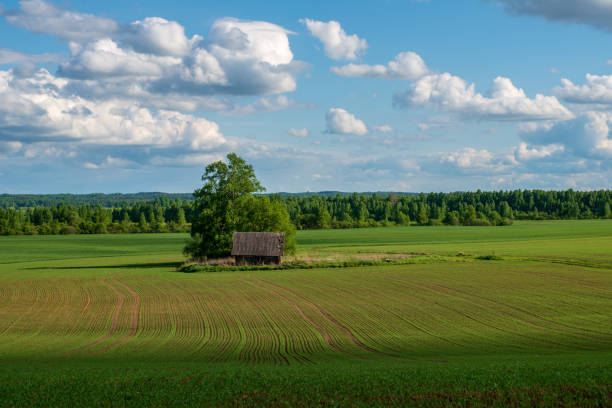 istock bright green meadow in sunny day in countryside 1148991170