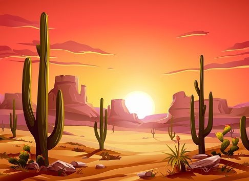 Fiery Desert Sunset