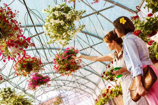 istock Showing all the beautiful flowers 1148994518