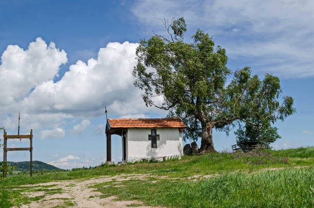 Beautiful  landscape with springtime venerable birch tree and old chapel, located in Plana mountain, Bulgaria