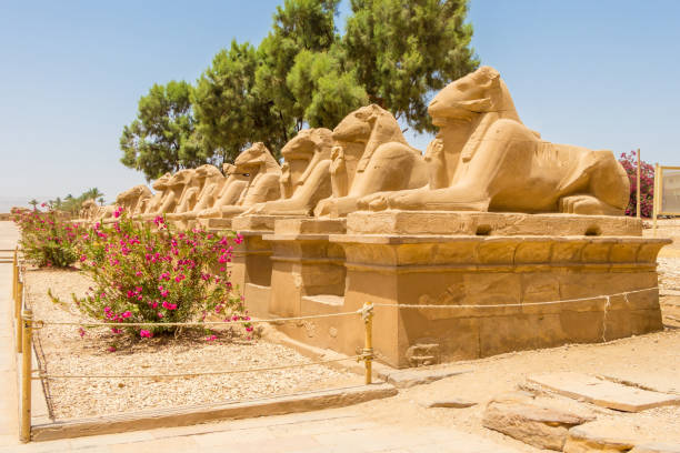 istock Entry to Karnak is through an extended avenue of ram-headed sphinxes 1148997401