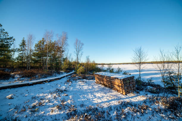 istock fields and forests covered in snow in winter frost 1148999120