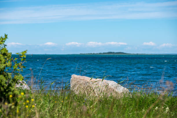 istock empty sea beach with rocks and grass 1148999173