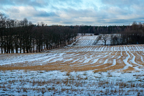istock fields and forests covered in snow in winter frost 1149002301