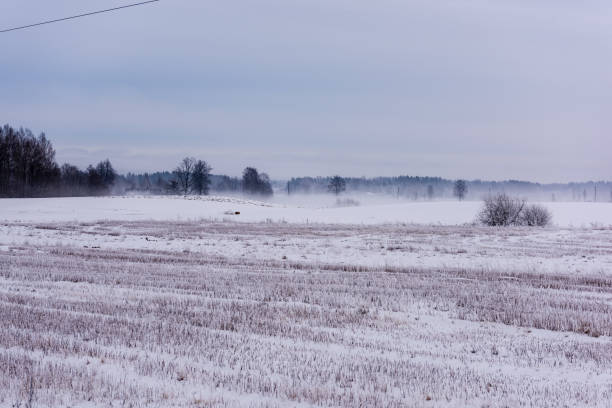 istock fields and forests covered in snow in winter frost 1149002540