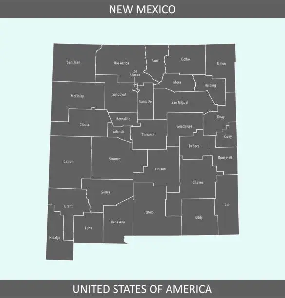 Vector illustration of New Mexico county map