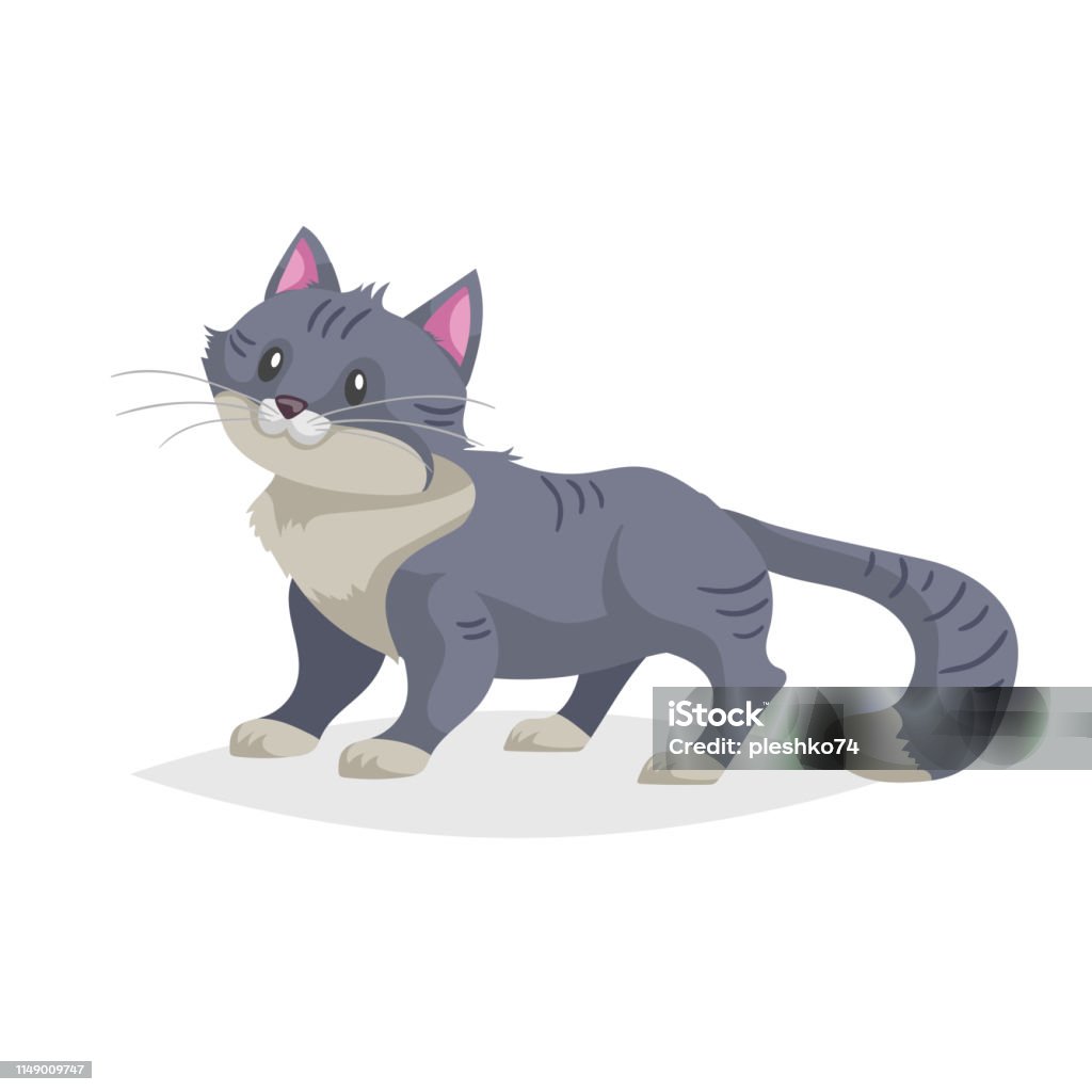 Mèo Hoạt Hình Màu Xám Dễ Thương Đứng Động Vật Trang Trại Trong Nước Vẽ Thú  Cưng Phong Cách Truyện Tranh Phẳng Lý Tưởng Cho Giáo Dục Hình Minh Họa  Vector Được