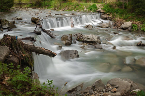istock The mountain river flows through a green fairy forest 1149019363