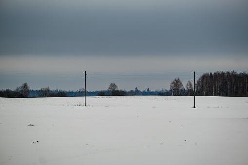 fields and forests covered in snow in winter frost. empty countryside landscape