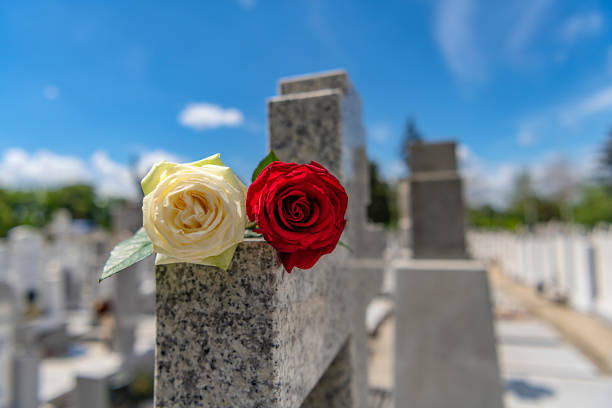 istock Flower on memorial stone close up 1149022818