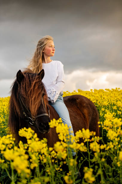 istock Horseback through a Canola field. 1149024460