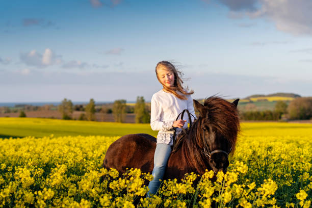 istock Horseback through a Canola field. 1149024465