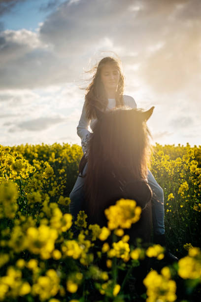 istock Horseback through a Canola field. 1149024472