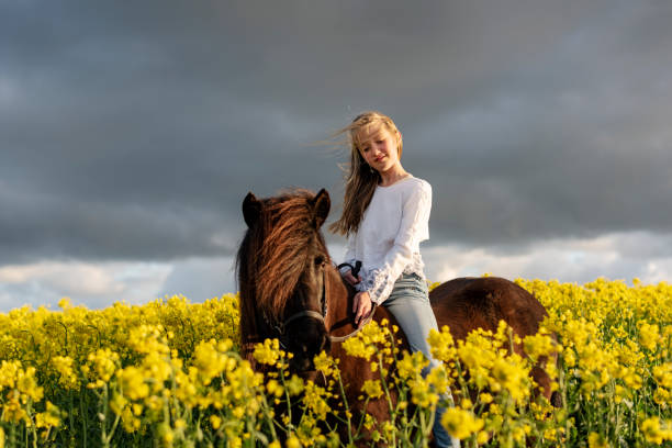 istock Horseback through a Canola field. 1149024499