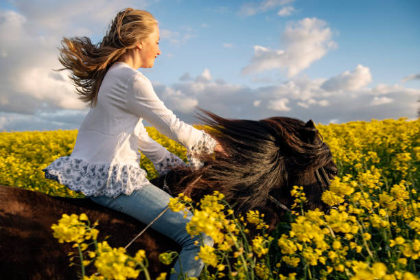 istock Horseback through a Canola field. 1149024505