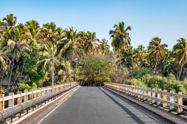 Beautiful photo of road bridge with colored guard rails on both side, lots of palm trees, while travelling by road, in a coastal village of Goa in South India, a typical geography of south India/Asia Amazing view captured during the road trip, of a single lane road on a narrow bridge amidst greenery of palm trees, in the coastal town of South India. The scene is a typical geography of the complete south India, from Goa to Kerala, and that of Sri Lanka and other island nations in the Indian Ocean. kerala photos stock pictures, royalty-free photos & images